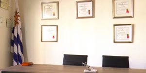 estudioEAL 1